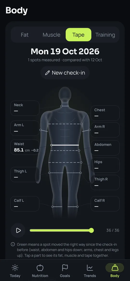 Macros Body screen with tape measurements on a body figure